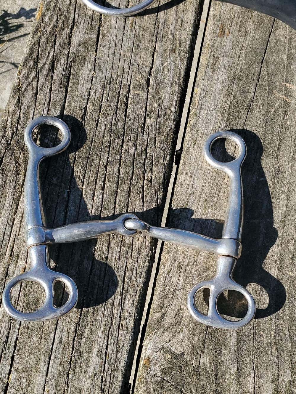 Kimberwick Bit